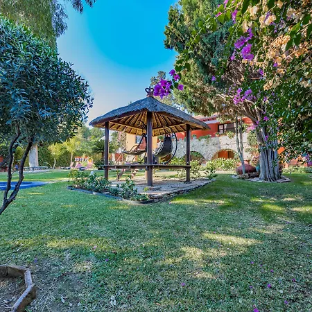 Casa Paraiso Boutique B&B-3