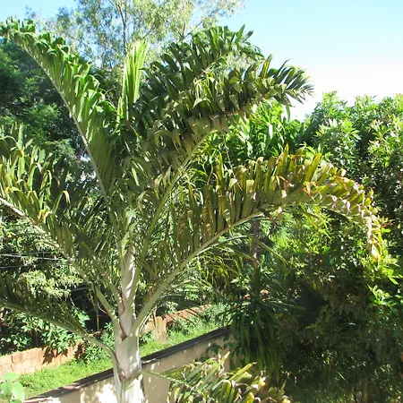 Avamada Lodge-3