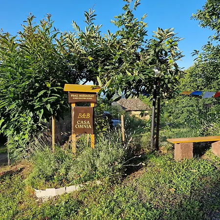 Casa Omnia B&B-3