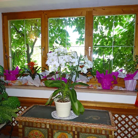 Pension Rainhof-3