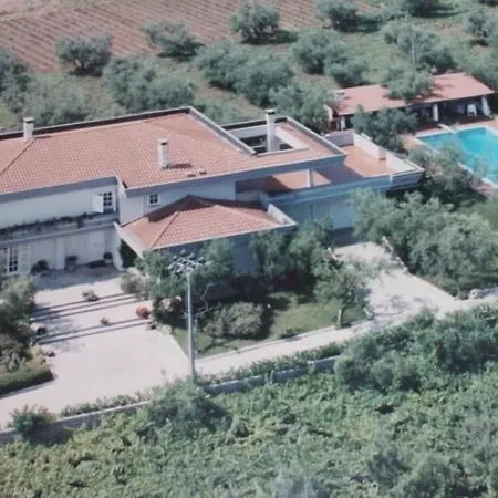 B&B Arli-2