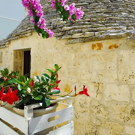 Trulli Antica Fonte-3