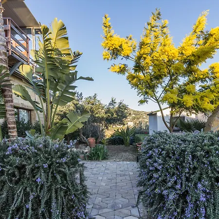 B&B Eyexei Domus-3