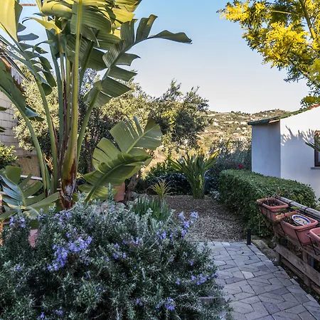 B&B Eyexei Domus-2