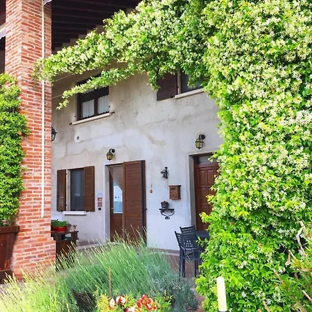 Le Rondini-3