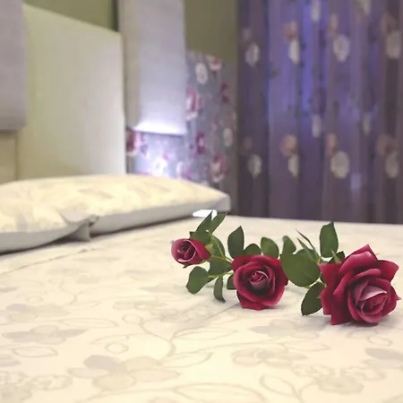 B&B Coccolhouse-2