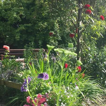 Riverfield Bed And Breakfast-2