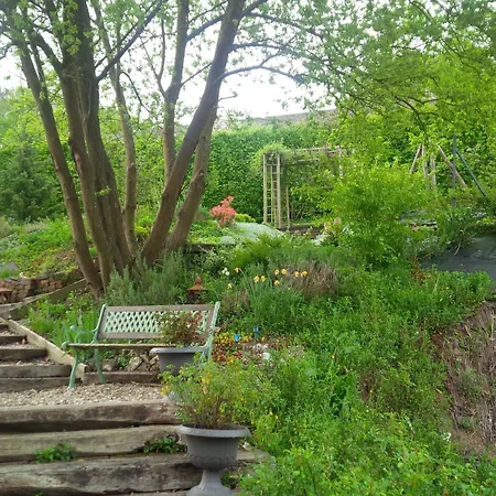 Duck House-3