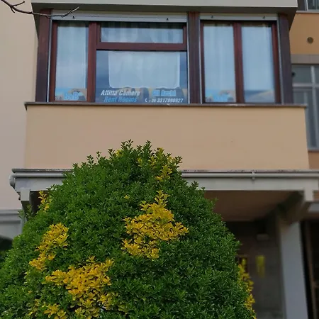 B&B Gli Archi-3