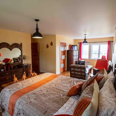Bed And Breakfast Panorama-2