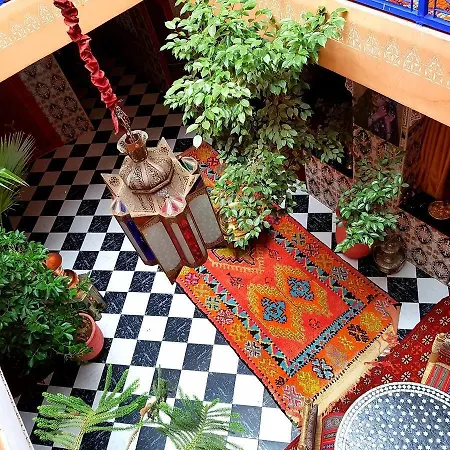 Riad Konouz-2