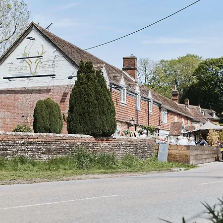The Bucks Head-2