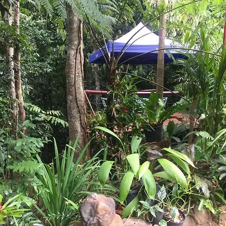 Tropical Bliss Bed And Breakfast-3