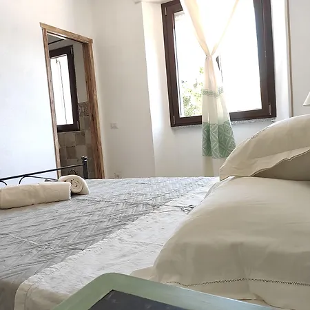 L'Ajaccio B&B-2