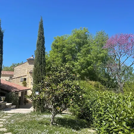 La Serre Des Mourgues-3