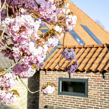 Uitgerust voor Zaken-3