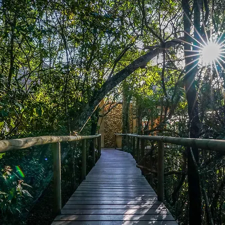 Trogon House And Forest Spa-2