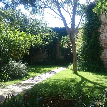 La maison d'Antoine Rivesaltes-3