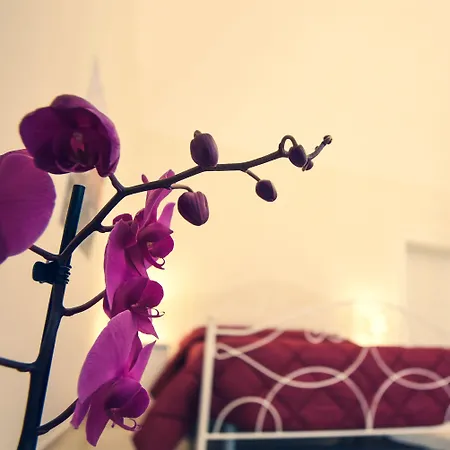 Kapsott B&B-3