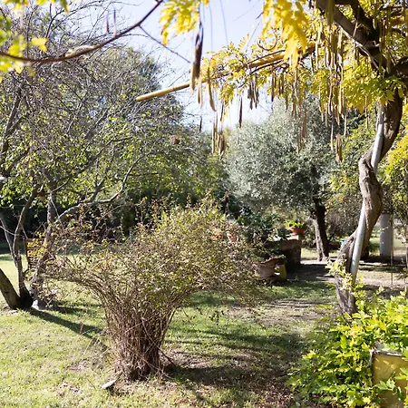 Locanda Acetaia Malagoli Daniele-2