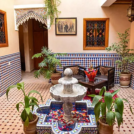 Riad Zanouba-2
