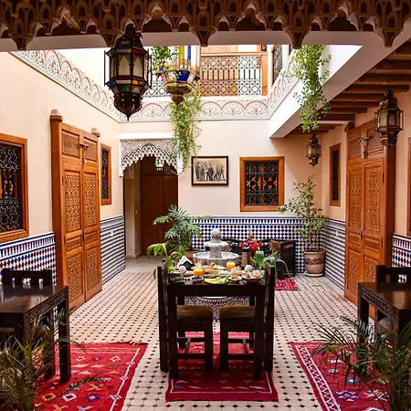 Riad Zanouba-3