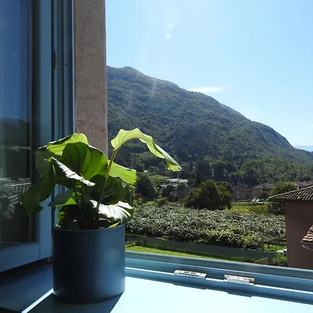 B&B Stella d'Oro-2