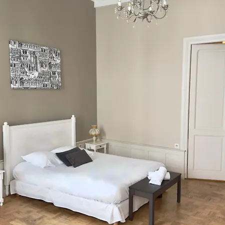 Les Suites de Sautet - Chambéry centre-3