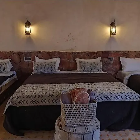 Camels House-2
