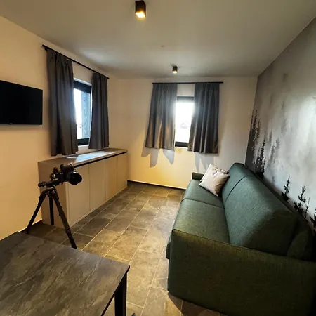 La Dane Zoncolan aparthotel&spa-2