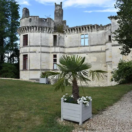 Château de Veuil-3