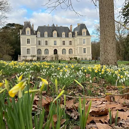 B&B Château de Saint-Bohaire-3