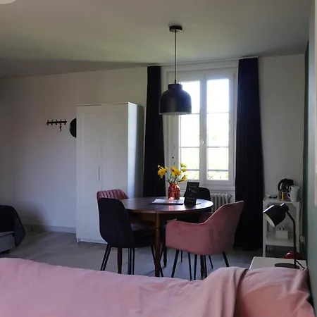 B&B Les hirondelles du moulin, Val de Loire-2