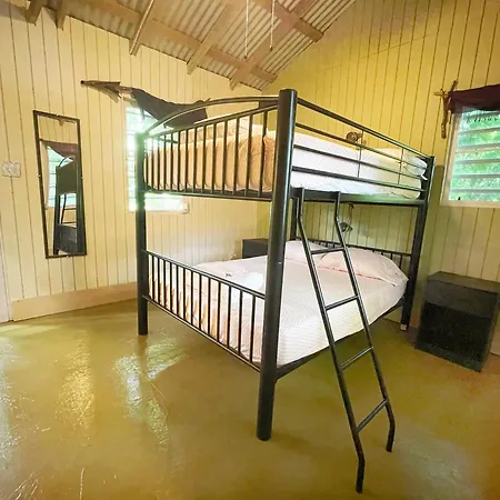 La Casa de Vida Natural-2