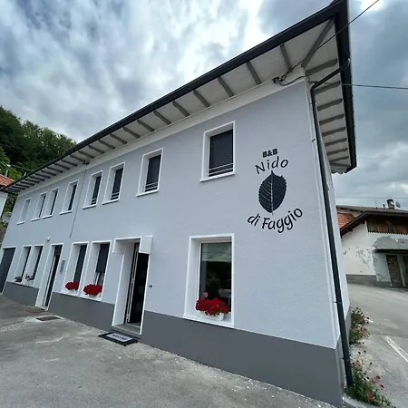 Nido di Faggio-2