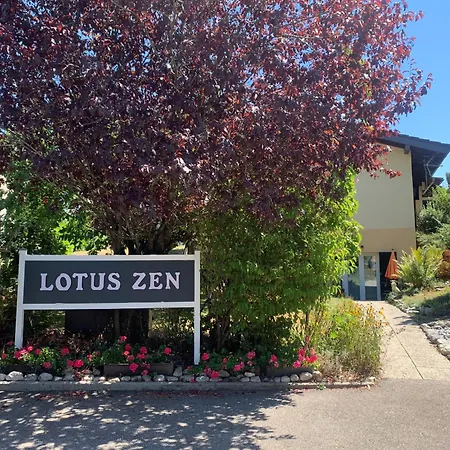 Le lotus zen-3