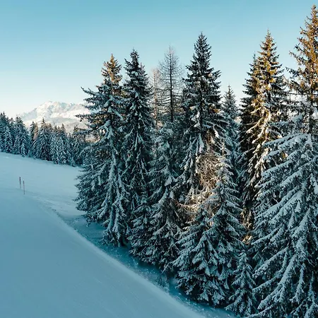 Chalet Auhof-2