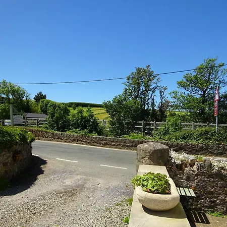 Yr Hen Felin - The Old Mill B&B-2