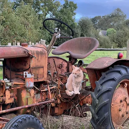Ferme Hay Day-2