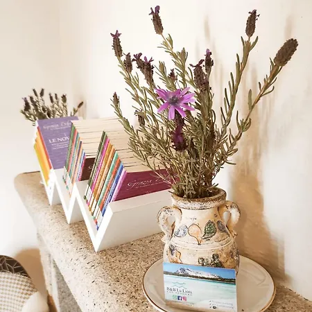 B&B Lu Lioni-3