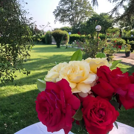B&B Villa Prestigio-2