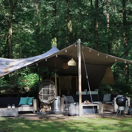 Forest Inn-2