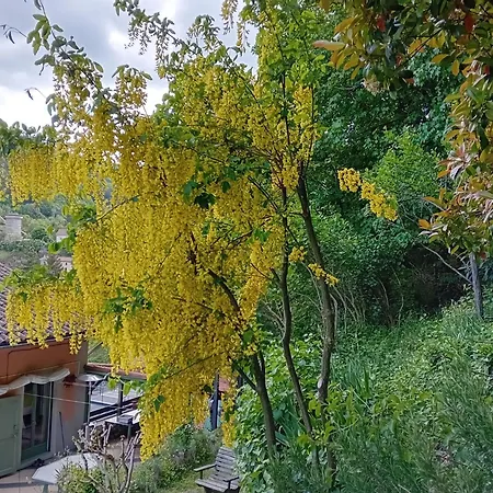 Les Terrasses du Verger-2