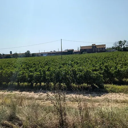 Le Vin de l'Été - Summer Wine - Sud de France-2