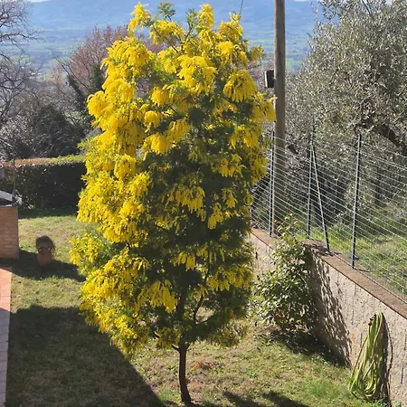 Villa Bigio-2