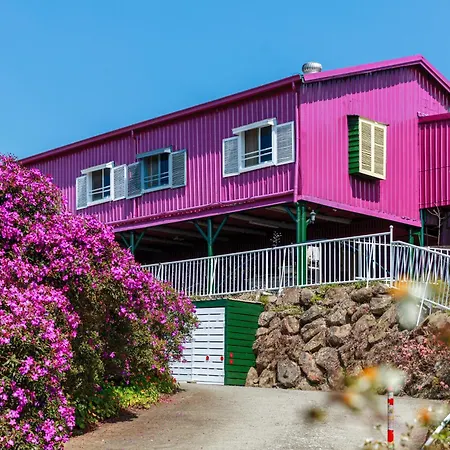 Alishan Sunrise B&B-3