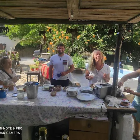 Gabriellas Garden-3