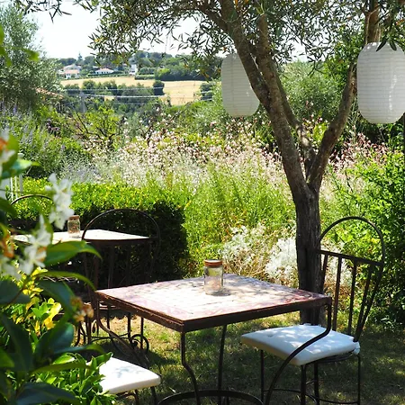Aura Relais-2