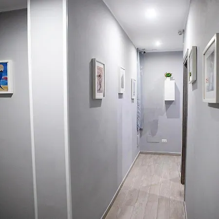 Zuroli Suite-2
