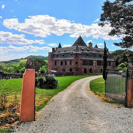 Chateau De Vassinhac Chambres D'Hotes Collonges La Rouge-3